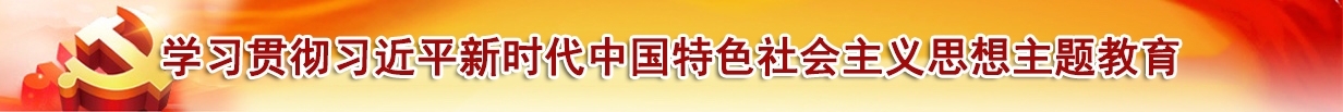 学习贯彻习近平新时代中国特色社会主义思想主题教育